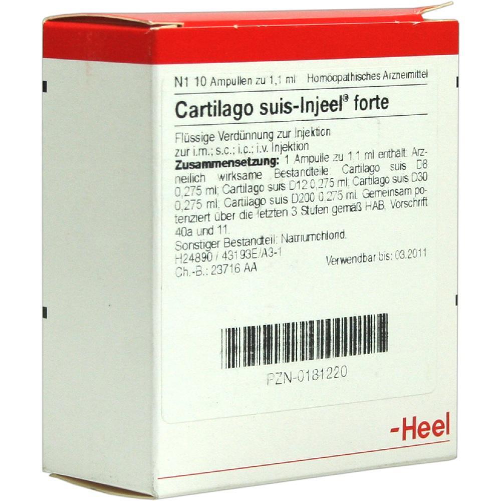 Eine Box mit homöopathischen Ampullen zur Injektion namens "Cartilago suis-Injeel forte".