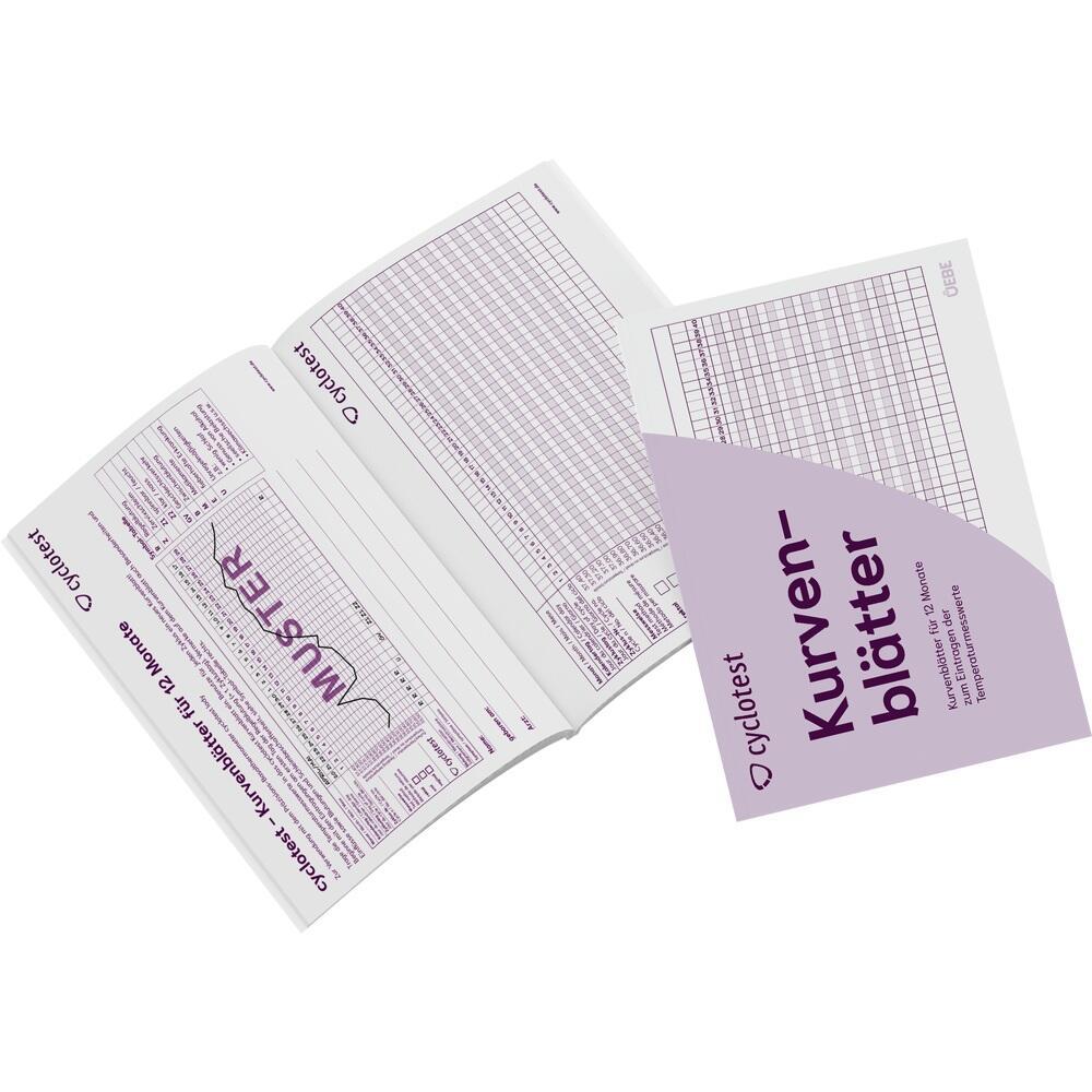 Ein aufgeschlagenes Heft mit Kurvenblättern und Gittern für Temperatur-Aufzeichnungen.