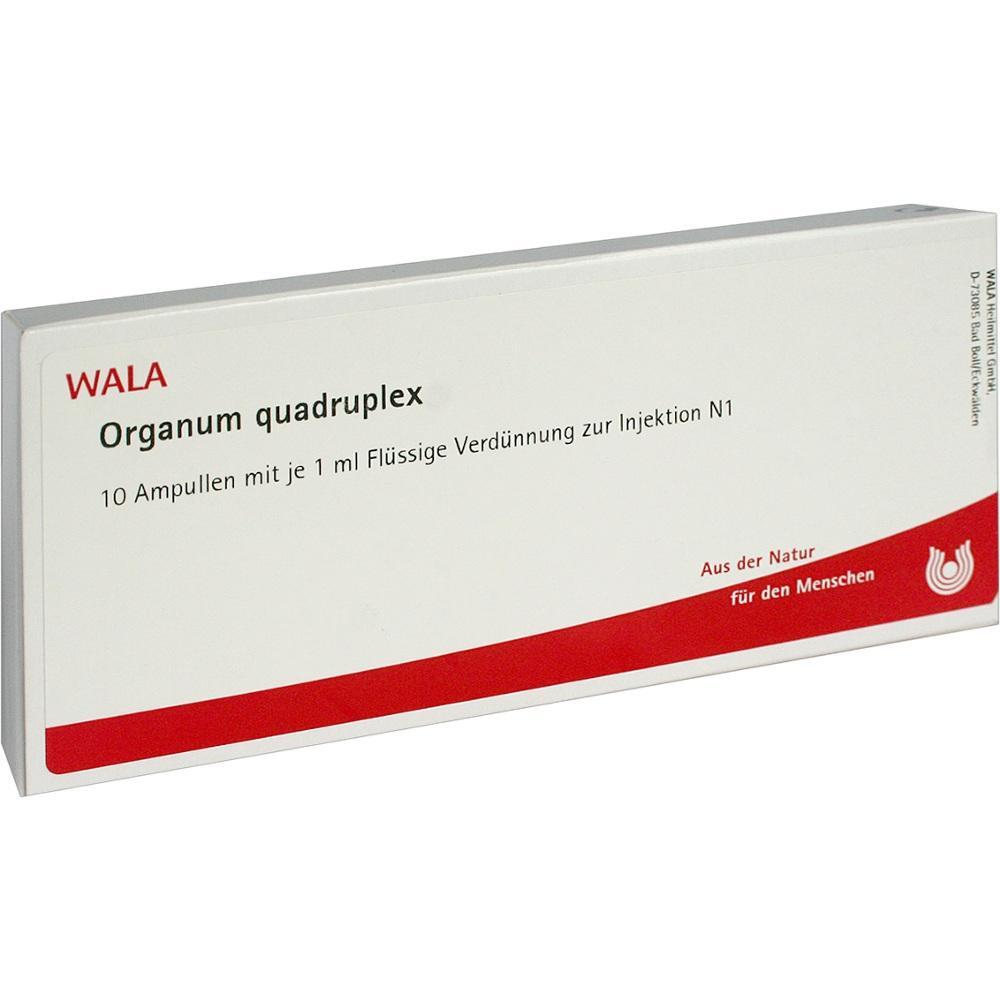 Eine wei&szlig;e Schachtel mit Aufschrift "Organum quadruplex" und rotem Streifen unten.