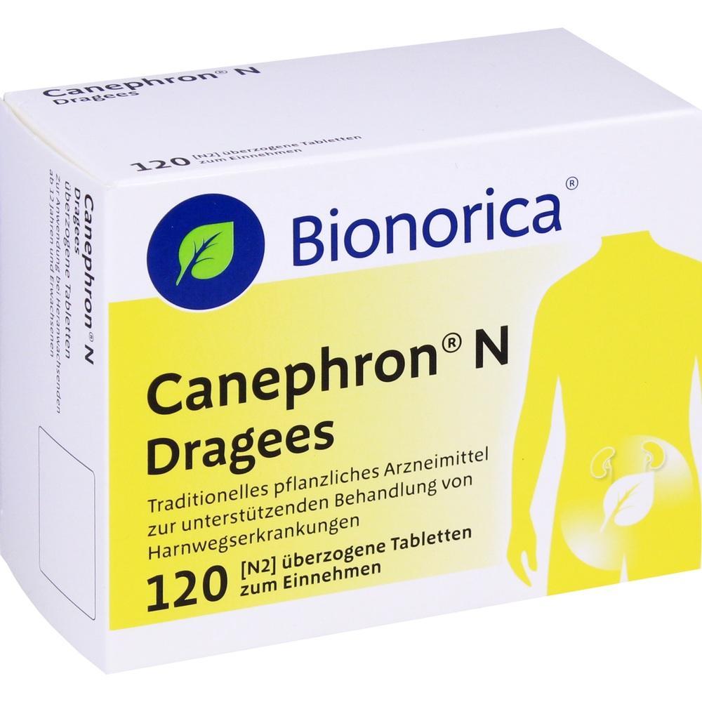 Eine Packung Canephron N Dragees mit 120 überzogenen Tabletten.